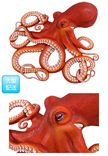 【直接取引可】FRPアニマルオブジェ 壁掛け用 巨大なタコ Amazon.co.jp: FRPアニマルオブジェ 壁掛け用・巨大なタコ 置物 動物